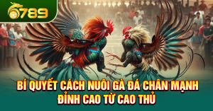 Nuối Gà Tại 6789QT